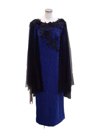 Blue with Long Black Sleeve